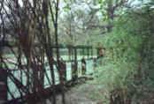 Wyjazd do Drezna - Drezno, kwiecien 2002